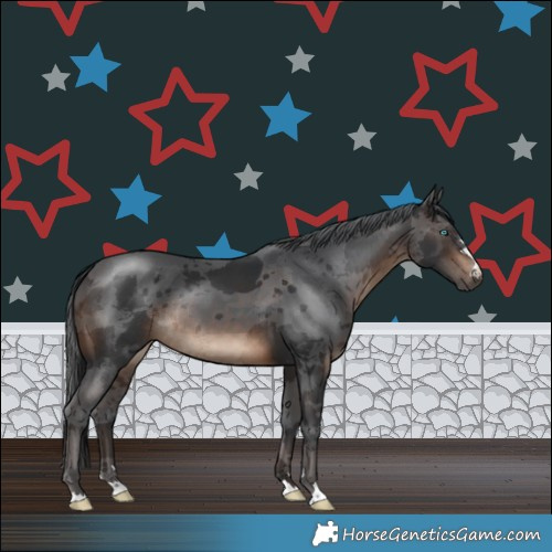 Horse Color:Brown Merle Rabicano