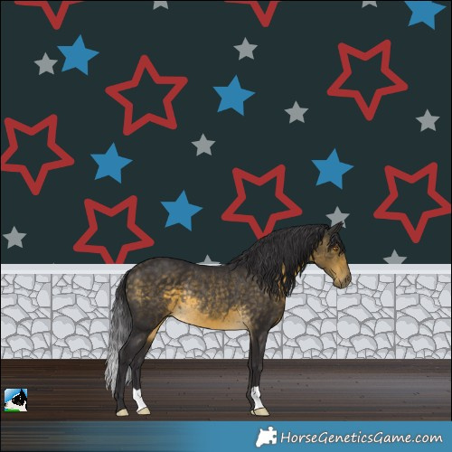 Horse Color:Buckskin Mushroom Rabicano