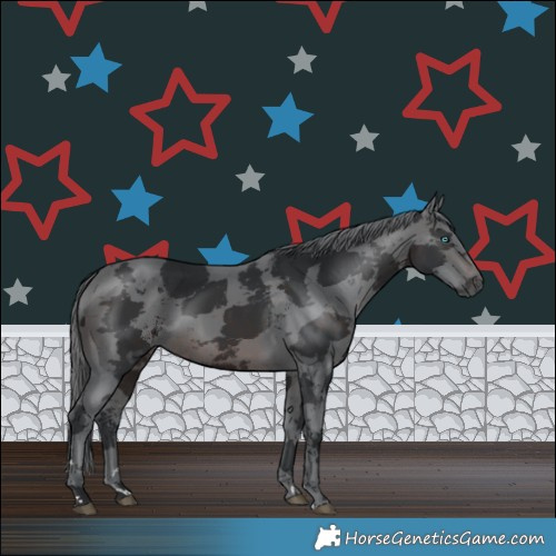 Horse Color:Brown Merle 