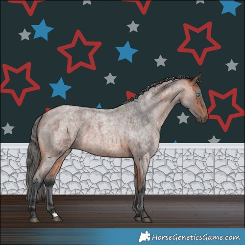 Horse Color:Bay Roan Merle