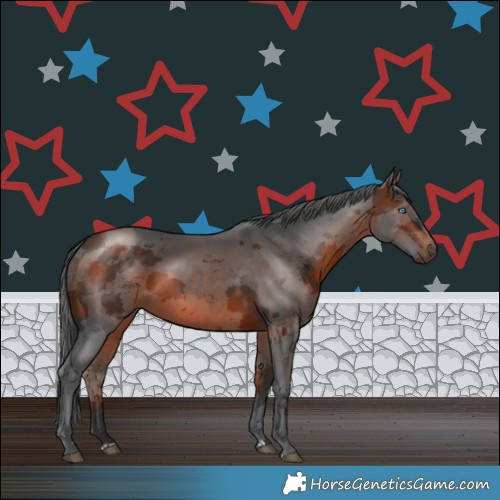 Horse Color:Brown Merle Rabicano 