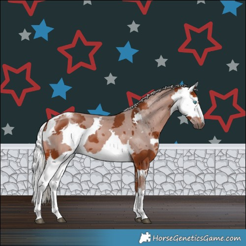 Horse Color:Silver Bay Merle Rabicano 