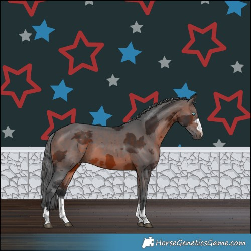 Horse Color:Brown Merle