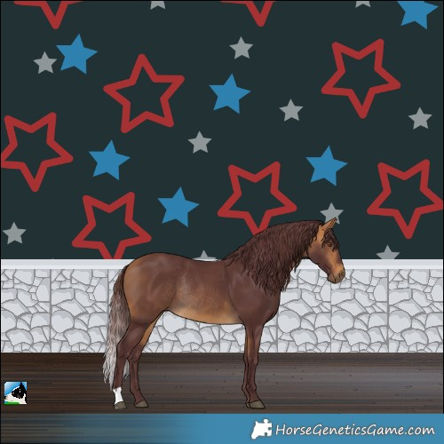 Horse Color:Chocolate Buckskin Rabicano 