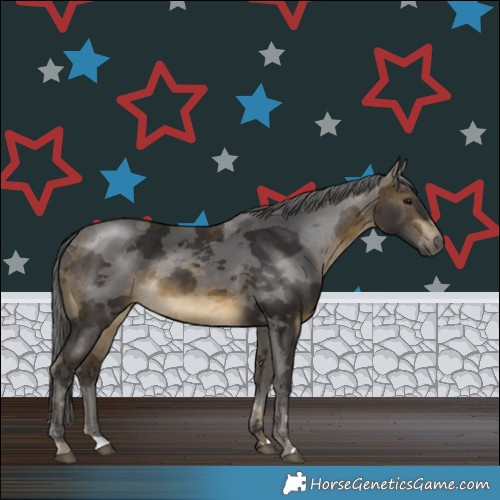 Horse Color:Buckskin Merle Rabicano 