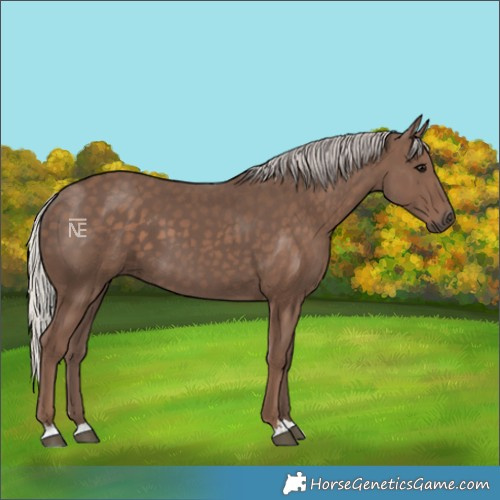 Horse Color:Silver Black 