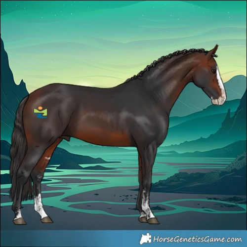 Horse Color:Bay Sabino Splash