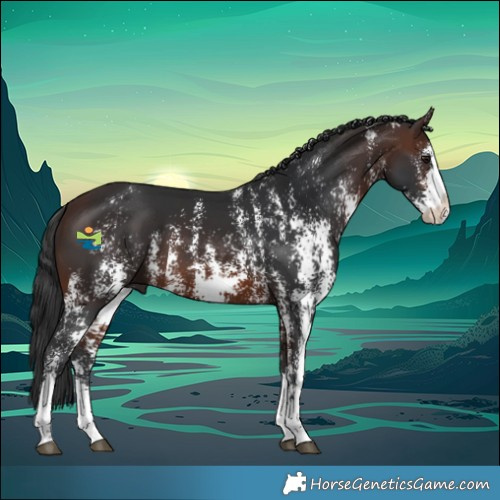 Horse Color:Brown Sabino Splash