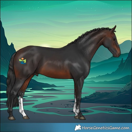 Horse Color:Brown Sabino 