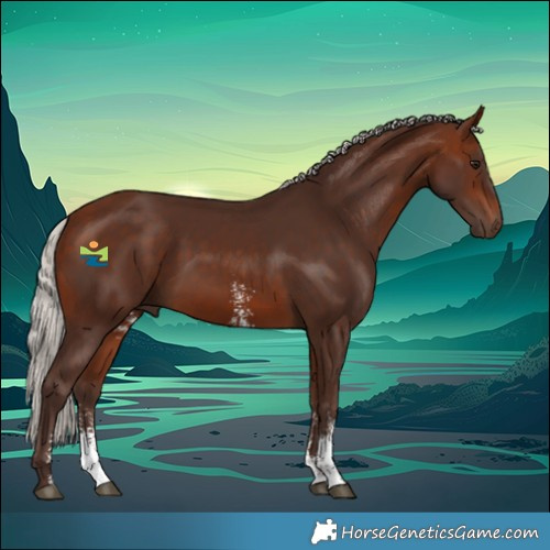 Horse Color:Silver Bay Sabino 