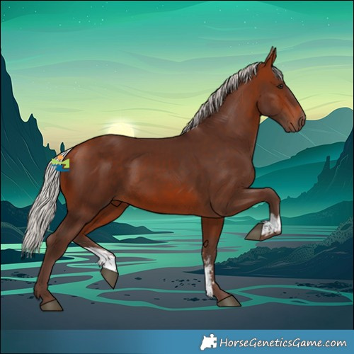 Horse Color:Silver Bay Sabino 