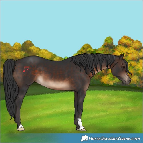 Horse Color:Brown 