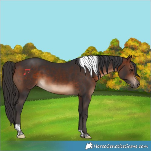 Horse Color:Brown Tobiano Rabicano