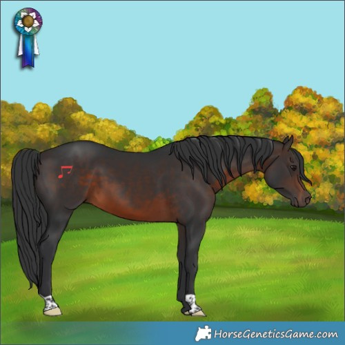 Horse Color:Brown 
