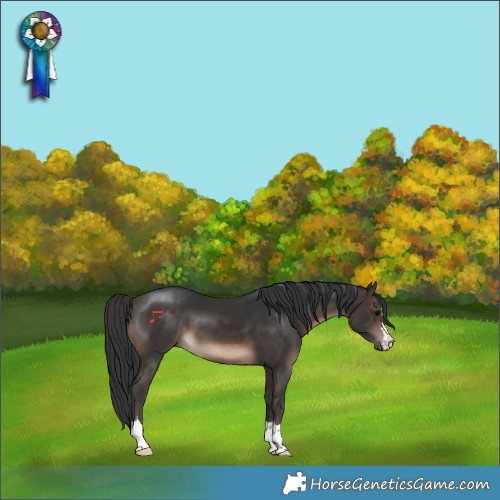 Horse Color:Brown 