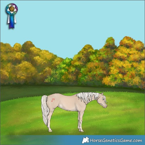 Horse Color:Cremello