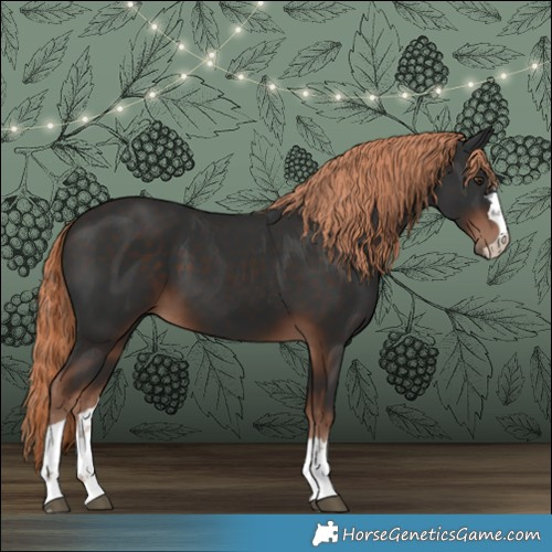 Horse Color:Liver Chestnut 