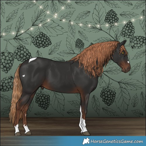 Horse Color:Liver Chestnut Tobiano 
