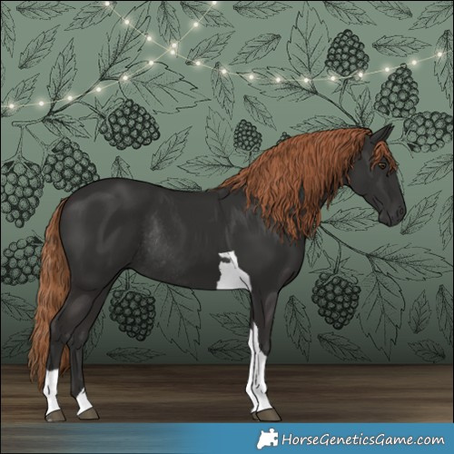 Horse Color:Liver Chestnut Tobiano Rabicano 