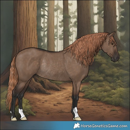 Horse Color:Liver Red Dun Rabicano