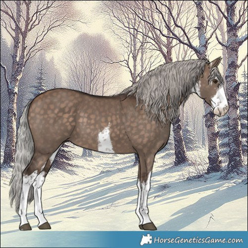 Horse Color:White Spotted Silver Brown Dun 