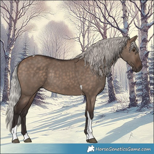 Horse Color:Silver Brown Dun Tobiano Rabicano 