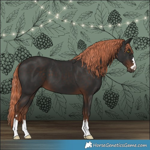 Horse Color:Liver Chestnut 