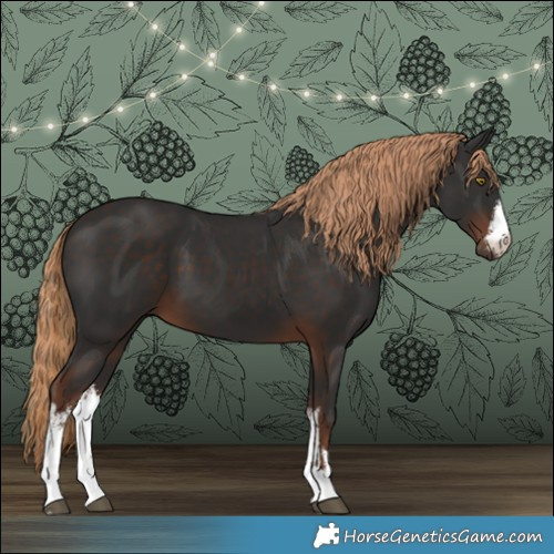 Horse Color:White Spotted Liver Chestnut