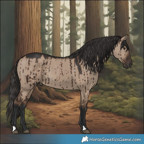 Horse Color:Liver Red Dun Rabicano Brindle 