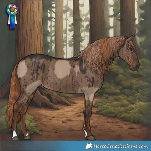 Horse Color:Liver Red Dun and Liver Red Dun Brindle