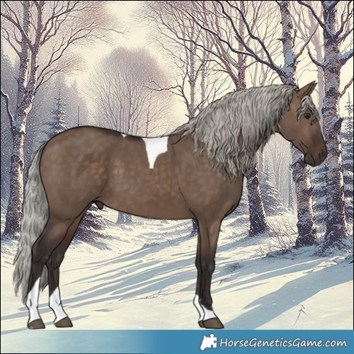 Horse Color:Silver Brown Dun Tobiano