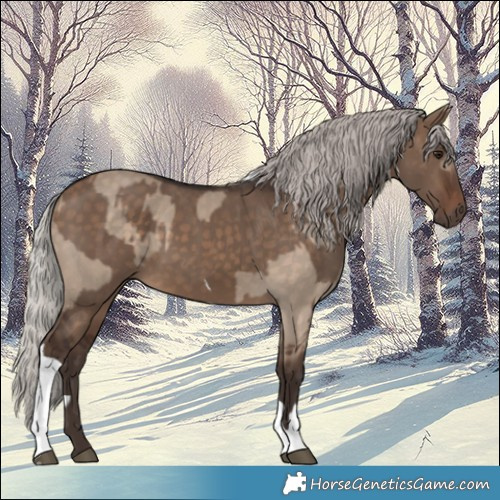 Horse Color:Silver Brown Dun Tobiano and Silver Brown Dun Tobiano