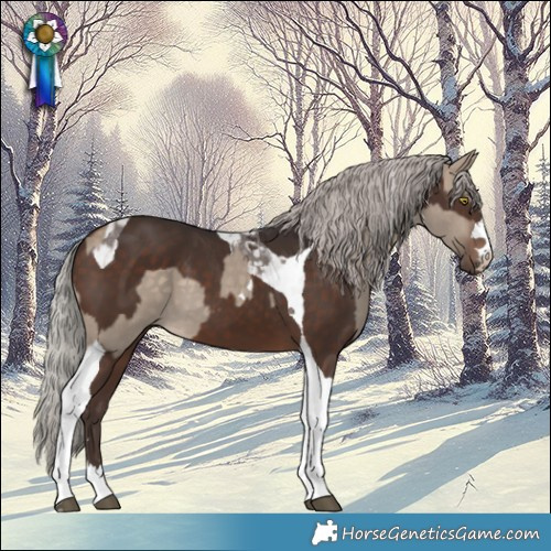 Horse Color:Silver Brown Dun Tobiano and Silver Brown Tobiano