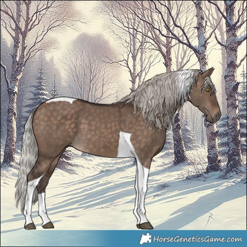 Horse Color:Silver Brown Dun Tobiano