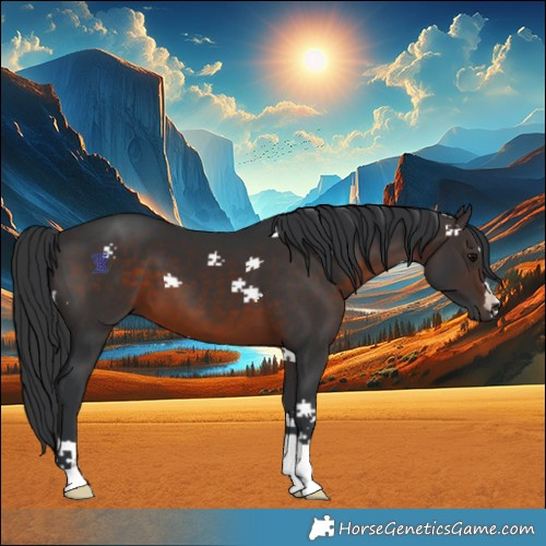 Horse Color:Brown 