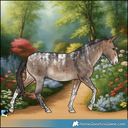 Horse Color:Powder White Bay Dun Merle Brindle