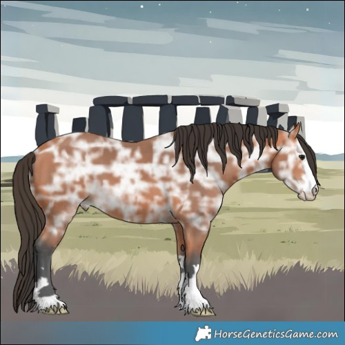 Horse Color:Bay Ice