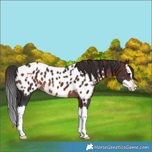 Horse Color:Brown Splash Blanket 