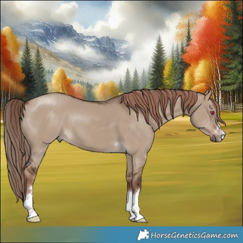 Horse Color:Liver Red Dun