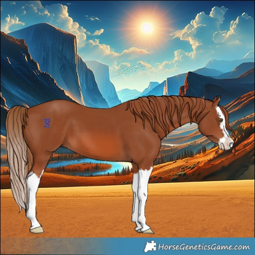 Horse Color:Chestnut Splash 
