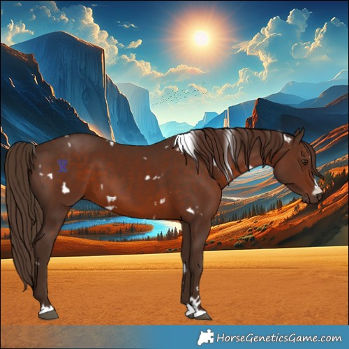 Horse Color:White Spotted Liver Chestnut