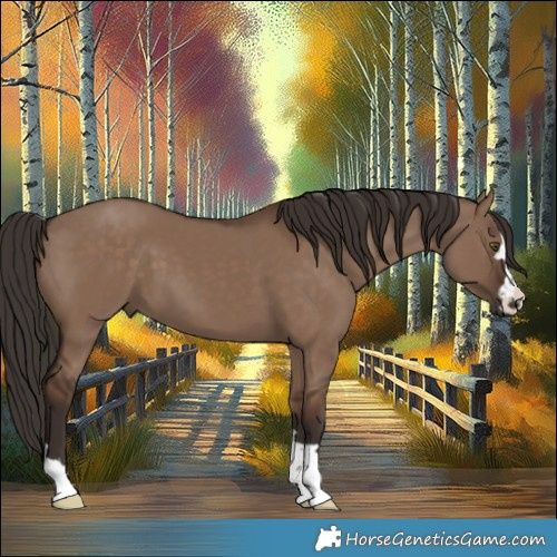 Horse Color:Liver Red Dun