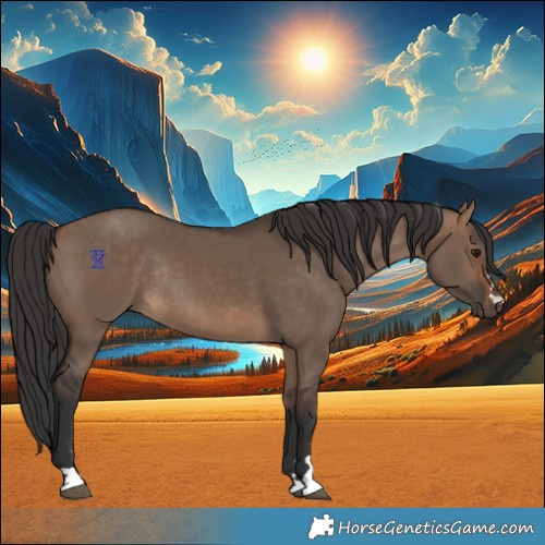 Horse Color:Brown Dun Rabicano 