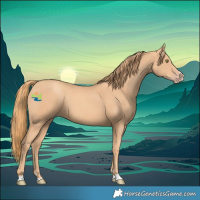 Horse Color:Gold Champagne 