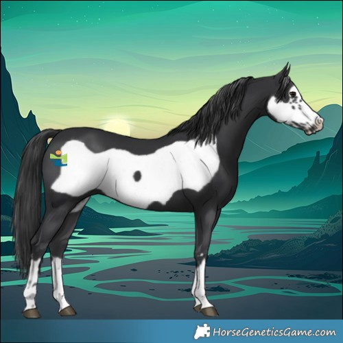 Horse Color:Black Frame 