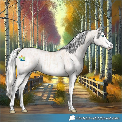 Horse Color:Cremello Sabino  and Cremello Sabino 