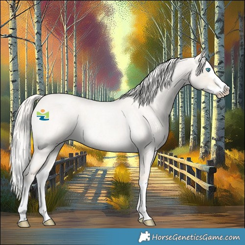 Horse Color:Cremello Roan Dun Splash