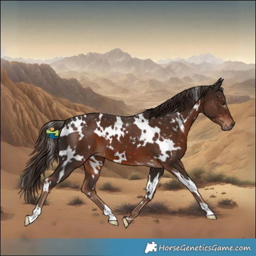 Horse Color:White Spotted Liver Chestnut 