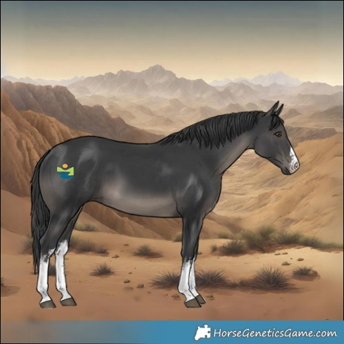 Horse Color:White Spotted Black 
