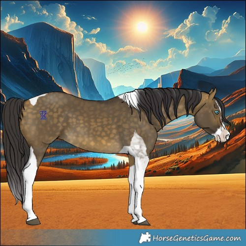 Horse Color:Buckskin Dun Splash Tobiano 